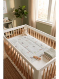 BABY MUSLIN GODHADI | SKY BLUE ZEBRA