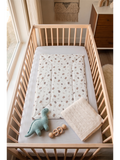 BABY MUSLIN GODHADI | TEDDY