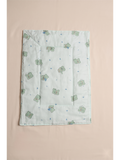 BABY MUSLIN GODHADI | PASTEL GREEN