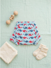 TRAINING PANTY | FULL FISH