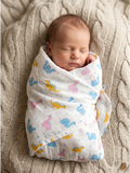SWADDLES | LITTLE DINO